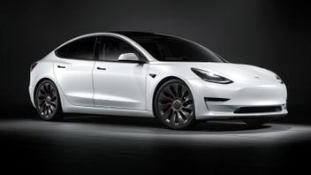 Ingin Menghadirkan Kendaraan Listrik Murah, Tesla Berencana Bangun Pabrik di India
