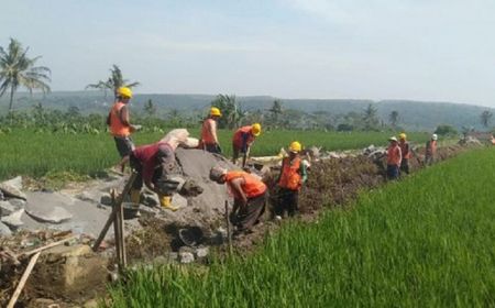 Sasar 12.000 Lokasi, Kementerian PU Ungkap Progres Pekerjaan Padat Karya Tunai Irigasi