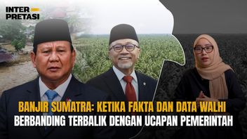 苏门答腊洪水：当WALHI的真相和数据与政府的言论相反时