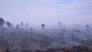 Cegah Kebakaran Hutan, Pemprov Kepri Minta Masyarakat Tak Bakar Sampah Sembarang