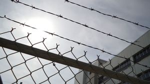 西巴布亚住房局腐败案的逃犯被捕