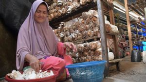 SIG Bantu Sekolah Perempuan Sukses Kembangkan Budi Daya Jamur Tiram di Padang