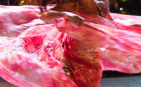 Klarifikasi Keluarga Eks Dirut Transjakarta Soal Rapat Sambil Nonton Belly Dance