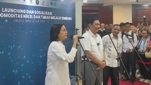 Berkat Simbara, Sri Mulyani Ungkap Capaian PNBP dari Sektor Minerba Lampaui Target APBN 2023