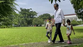 Jokowi Is Busy Taking Care Of Grandchildren: Carrying Sedah Mirah At The Bogor Palace And Accompanying Jan Ethes Feeding Deer