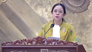 110 WNI Jadi Korban Online Scam di Kamboja, Puan: Negara Harus Pastikan Warganya Dapat Akses Pekerjaan yang Manusiawi