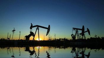 50名石油和天然气WK终止合同,能源和矿产资源部:将再次拍卖