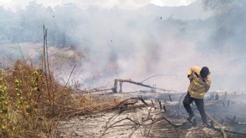 8 Hektare Lahan di Aceh Besar Terbakar