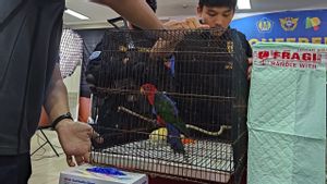 Customs And Excise Thwarts The Smuggling Of Protected Animals By Men From India