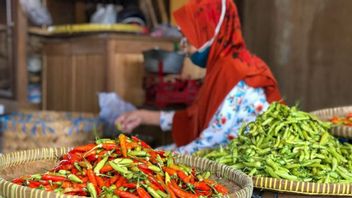 DKI的大米，辣椒和洋葱价格在圣诞节和新年之前上涨，副州长Riza称其为普通