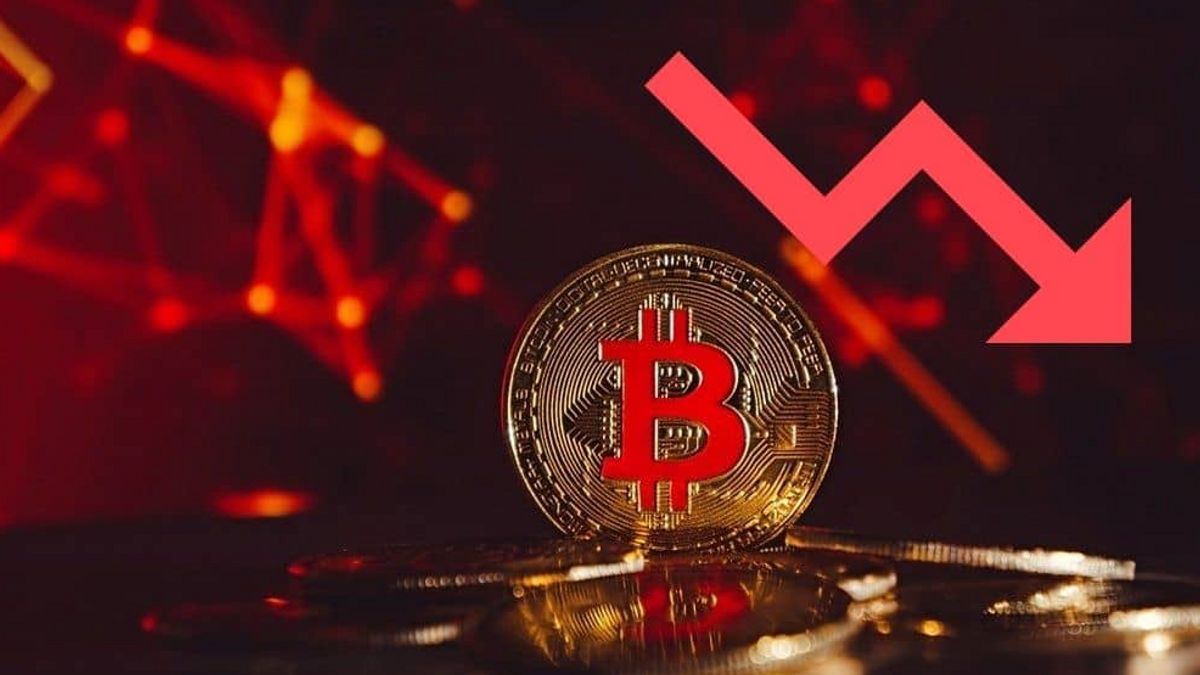 تحطم بيتكوين يسبب IDR 5.7 كوادريليون تختفي من سوق التشفير، واختيار هودل أو حفظ IDR؟