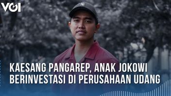 VIDEO: Kaesang Pangarep, Jokowi's Son, Who Is Getting More And More Excited, This Time He Invests In A Shrimp Company