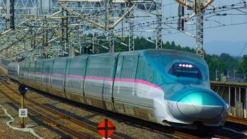 La connexion entre Hayabusa et Komaki, le service Tohoku Shinkansen a été arrêté