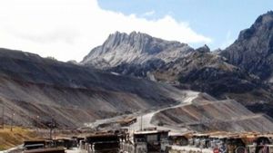 Freeport Umumkan Divestasi 12 Persen Saham Secara Gratis Setelah 2041