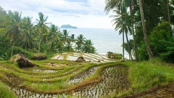 توصيات السياحة التاريخية وقرية إنداه المحلية في منطقة ترينغاليك