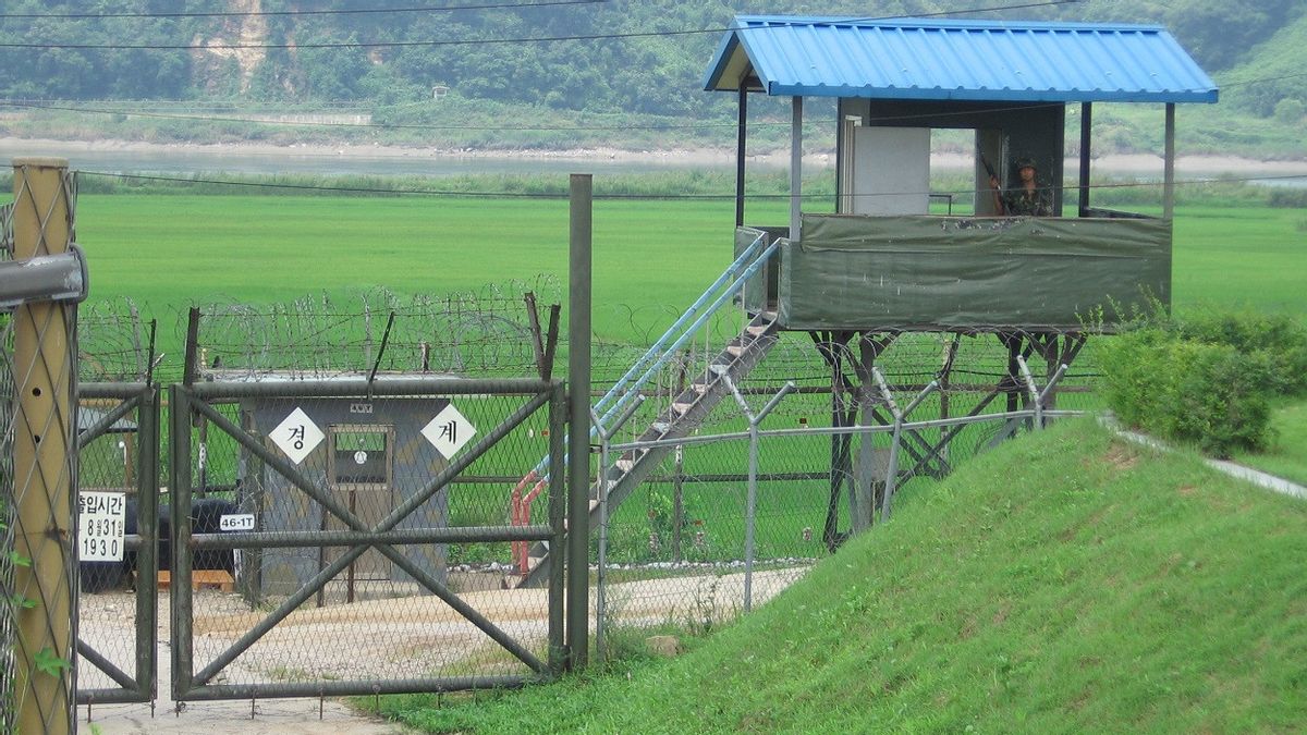 South Korea Holds A Search Operation, This Is The Figure Of A Man Who Broke Through The Demilitarized Zone To North Korea