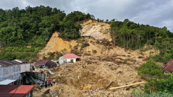 Kemenhut Segel Empat Subjek Hukum Diduga Sebabkan Banjir Sumatra