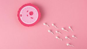 Ternyata Bukan di Rahim! Ini Tempat Terjadinya Fertilisasi yang Sebenarnya
