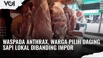 VIDEO: Waspada Anthrax, Warga Pilih Daging Sapi Lokal Dibanding Impor