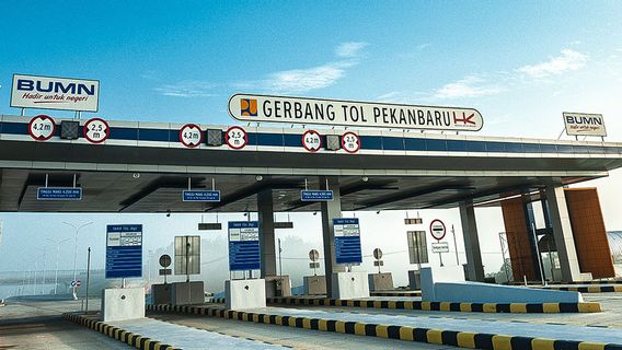 Hambatan Membangun Tol Trans Sumatera: Lewati Konservasi Gajah hingga Aksi Kejahatan