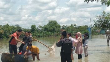 غمرت المياه 1000 هكتار من حقول الأرز في سراجين