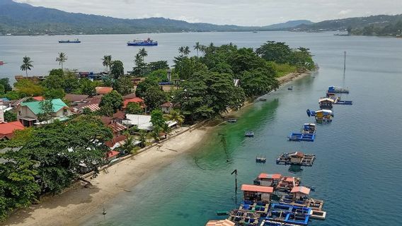 BRIN Notes That The Mangrove Ambon Bay Is Less Than 10 Hectares In The Last 2 Decades