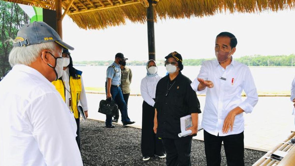 Ditemani Menteri Siti Nurbaya, Jokowi di Bali Sebut Mangrove Bentuk Komitmen Indonesia dalam Perubahan Iklim