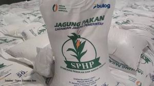 Bulog Salurkan Lebih dari 52.400 Ton Jagung untuk 2.109 Peternak