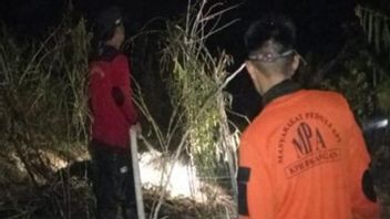 2 Hektare Lahan Gambut di Balangan Kalsel Terbakar