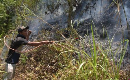 Perhatian, BBMKG Beri Peringatan Waspada Kebakaran Hutan di Bali