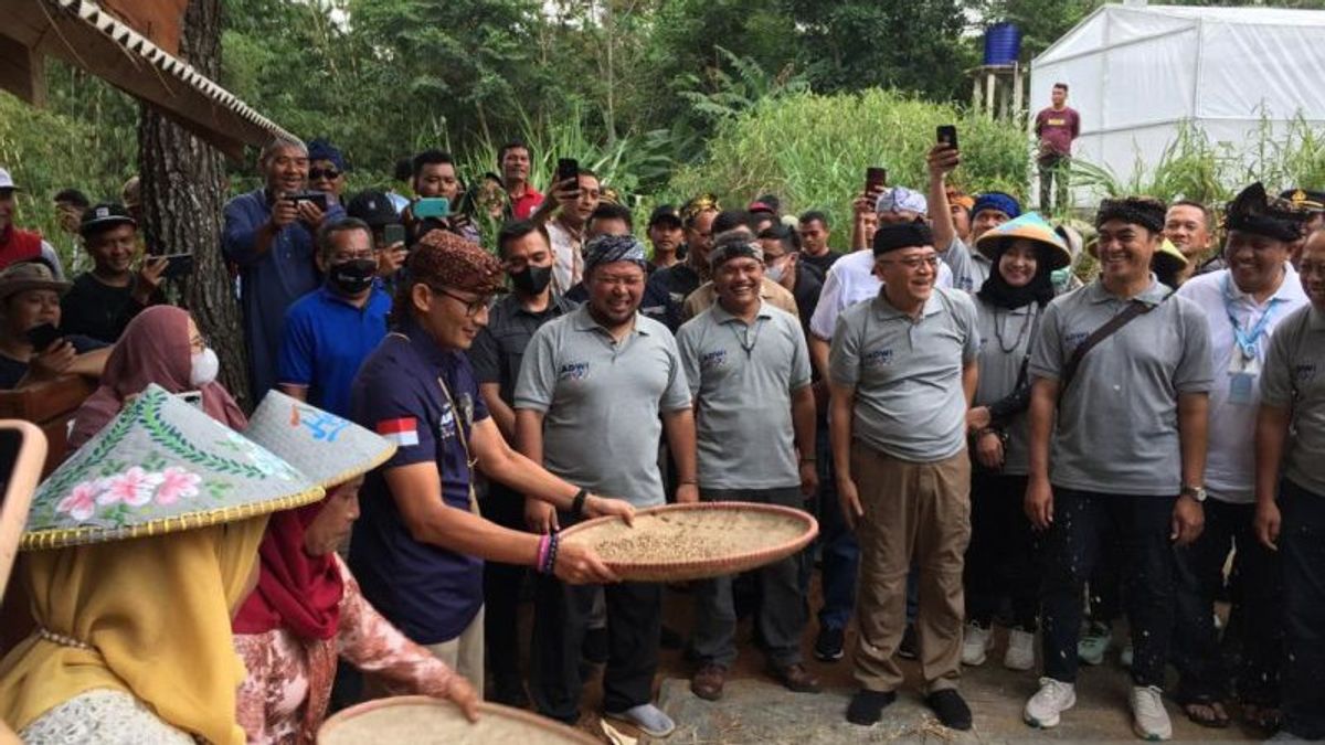 Sandiaga Apresiasi Desa Wisata di Sukabumi Kembangkan Hanjeli Tanaman Terancam Punah