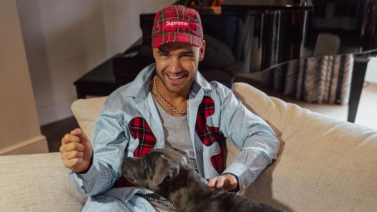 La fin de la carrière de Liam Payne en images spéciales