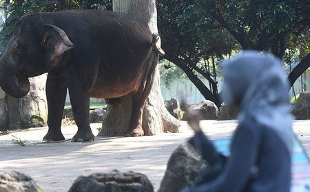 Ragunan dan Sejumlah Tempat Wisata di Jakarta Tutup 14 September