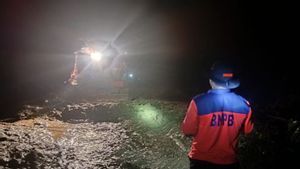 Longsor Timbun Jalan di Desa Vila OKU Selatan, BPBD Bersih-bersih 