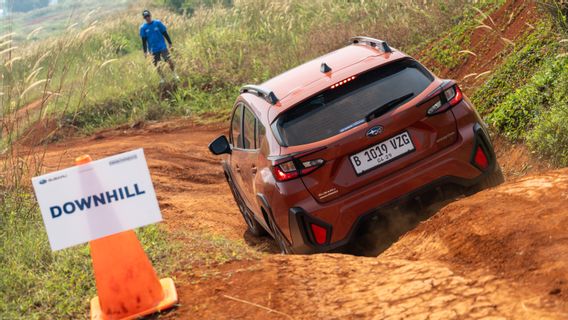 Prove Subaru Forester's Resilience To Crosstrack On Offroad Tracks