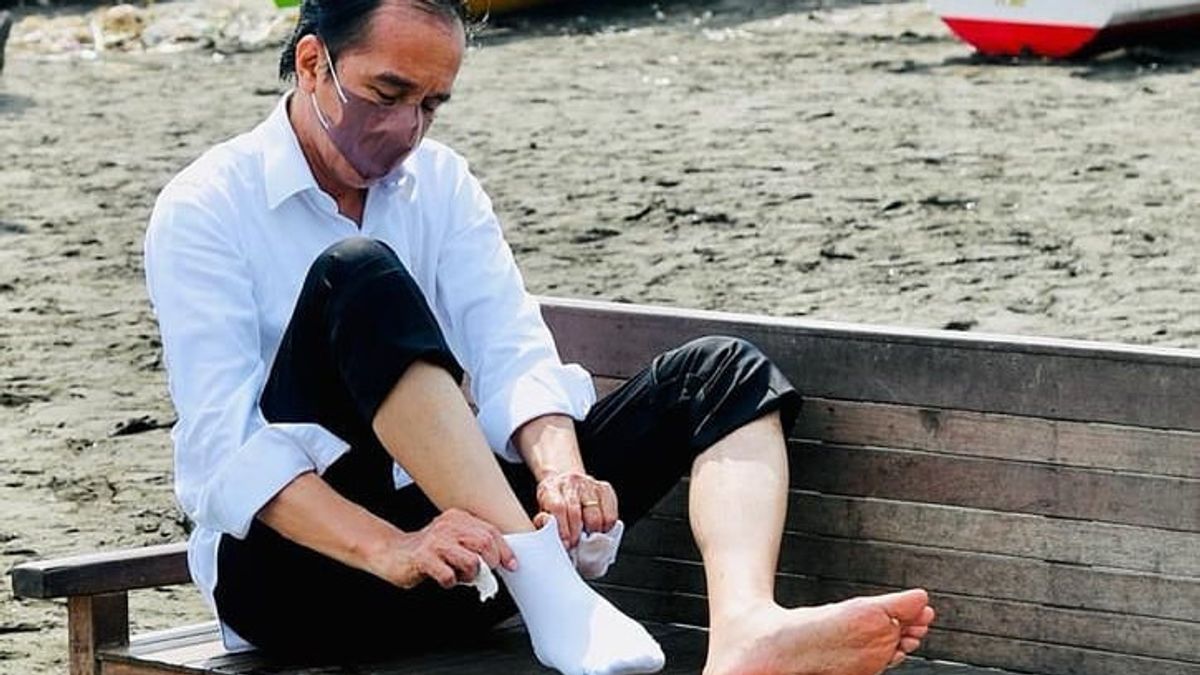 Le Style Décontracté Du Président Jokowi Est Assis Dans Une Vieille Chaise Sur La Plage Paire De Chaussettes Malgré Les Palmiers De Sable