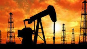 ممارسو النفط والغاز يحثون الحكومة على تسريع مراجعة قانون النفط والغاز