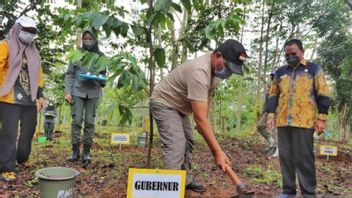 حاكم كاليمانتان الجنوبية العم بيرين يقود زراعة شتلات عشرات الأشجار المثمرة النادرة
