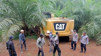 ムコムコの保護林の違法な侵入はDLHKベンクルの調査員によって調査され、土地所有者は呼ばれます