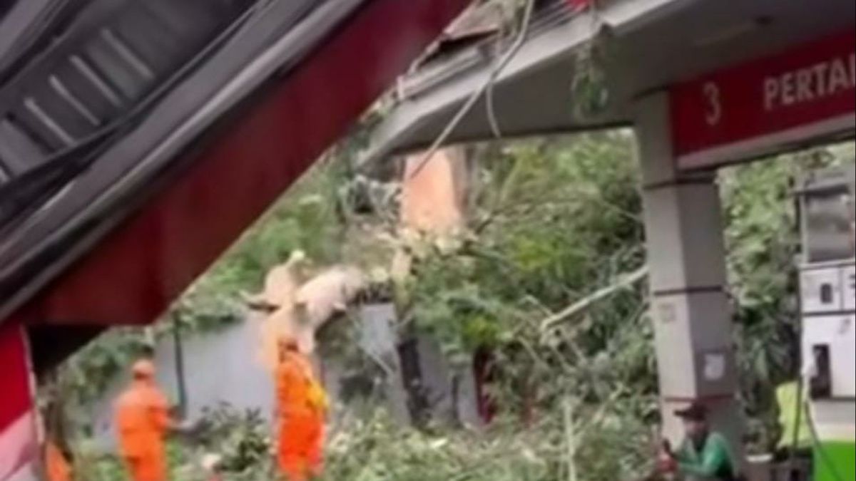 Pohon Tumbang Timpa SPBU Salemba, 4 Orang Luka