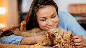 Untuk Menjaga Kesehatan Mental, Pelajari 6 Hal Ini dari Kucing