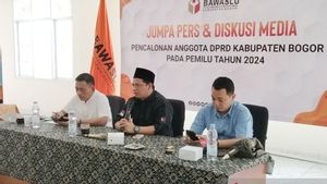 Masih Aktif Sebagai Penyelenggara Negara, 21 Bacaleg di Bogor Terindikasi Lakukan Kecurangan