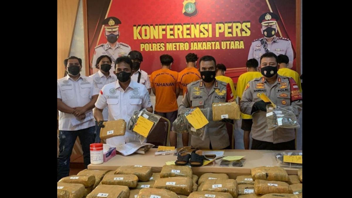 Police Confiscate 50 Kg Of Marijuana From Medan Drug Dealer Accomplices