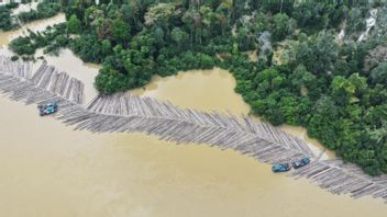 Kemenhut Cek Legalitas 1.085 Batang Kayu Bulat di Sungai Kapuas
