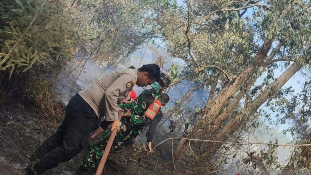 Peat Land In Mukomuko Was Deliberately Burned By The Owner For Palm Oil Plant Preparation