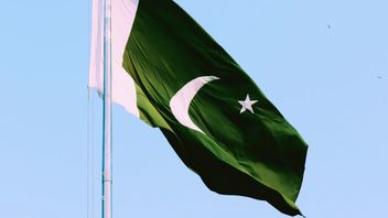 51 People Including 11 Pakistani Military Members Killed In Clashes With India