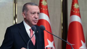 Presiden Erdogan Minta Barat Menghentikan Tindakan Israel di Suriah Sebelum Terlambat