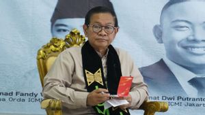 Pemprov DKI Kucurkan Rp50 Miliar untuk Penggabungan 3 Taman di Blok M  
