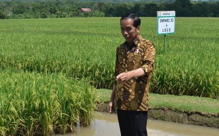 Jokowi kepada Jajaran Kementerian: Tolong Dicatat, Masalah Impor Kedelai, Bawang Putih dll Harus Diselesaikan