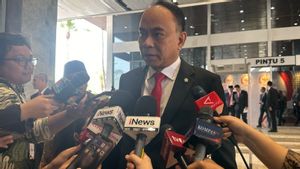 Respons Isu Reshuffle, Ketum Projo: Minggu Ini Tidak Ada, Nggak Tahu Minggu Depan